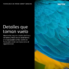 Tóner Xerox 006r04390 Original, Amarillo, Compatibilidad C230 C235, Rinde 1500 Páginas