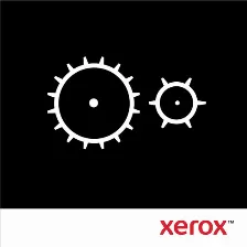 Repuesto Xerox 115r00127 Tipo Cinturón, Compatible Impresora Láser/led, Versalink C7000