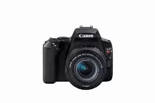 Cámara Digital Canon Eos Rebel Sl3 + Ef-s 18-55mm Is Stm Juego De Cámara Slr, 24.1 Mp, Sensor Cmos, Max. Res. 6000 X 4000 Pixeles, Pantalla 7.62 Cm (3