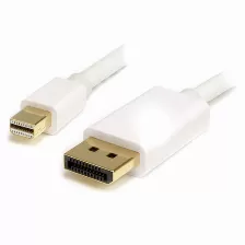  Cable Displayport Startech.com