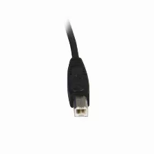 Cables Universales Para Kvm Startech.com (svusb2n1_10)ps2 Vga, Color Negro